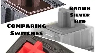 Comparing Keyboard Switches! Silver, Red, Brown Switches