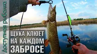 ЩУКА КЛЮЕТ НА КАЖДОМ ЗАБРОСЕ на воблеры с АлиЭкспресс | Тест SeaKnight ELF-2 и Ace Hawk Ag Voyager