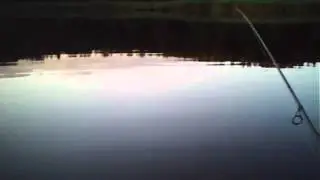 P&ecirc;che finesse de la perche en ultra l&eacute;ger &agrave; la lame vibrante
