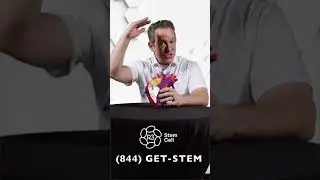 Stem Cell Therapy for Heart Disease in Mexico | R3 Stem Cell #r3stemcell #stemcellmexico #stemcell