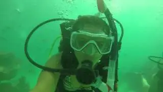 Aaron and Raquel's first dive