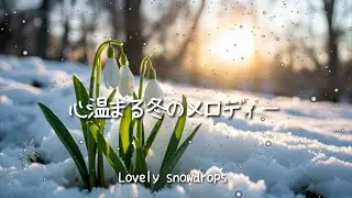 【RELAXING MUSIC】洋楽｜聞き流し60分 ｜12 scene｜女性ボーカル｜#bgm #雪 #カフェ #lofi #穏やかな時間 #心地よい音楽