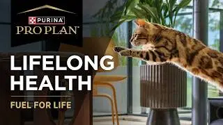 Pro Plan - Exceptional Nutrition Fuels the Days in Your Cat's Life