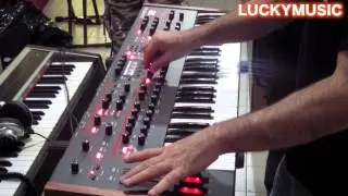 Dave Smith Prophet 12 - Unboxing and Quick Demo @ Lucky Music Network