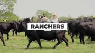 Texas Farm Bureau is You