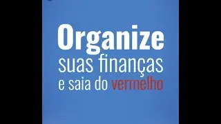 ORGANIZAÇÃO FINANCEIRA EMPRESA SAIA DO VERMELHO.