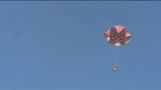 Hamster Skydiving From 300 feet.