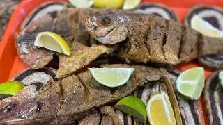 Whole Yellowtail Fish
