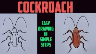 How to draw cockroach easily/Cockroach diagram in easy steps