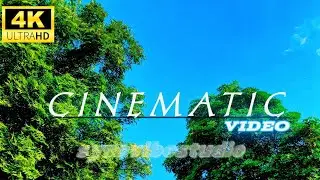 Peaceful City Cinematic Film 🎬 | Sky, Trees & Architecture | 4K Visuals | syncvibestudio 