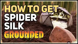 Grounded Spider Silk Location (Spiderling)