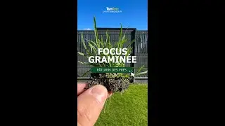 [FOCUS GRAMIN&Eacute;E] - Le P&acirc;turin Des Pr&eacute;s 🌾