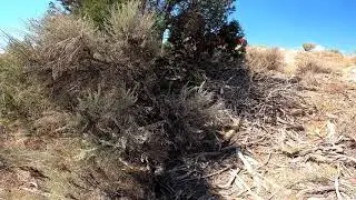Geocaching #5, Did Not Find, After School Special #1, 9/6/2020
