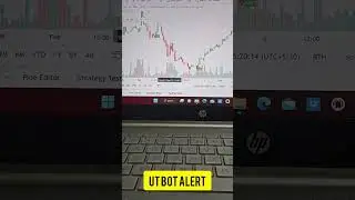 UT Bot Alerts // best indicator