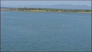 तुमरिया डैम | tumariya dam | very big water storage | corbett tiger reserve uttarakhand |
