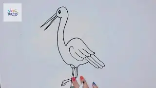 How to draw a crane bird