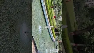 Coforge greater Noida campus