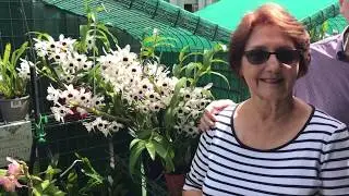 Jan Parker the Orchidist.