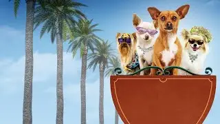 Beverly Hills Chihuahua | Movie Review with Plot Breakdown | Drew Barrymore, Piper Perabo