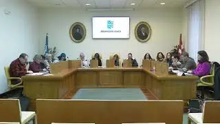 PLENO ORDINARIO 28-01-2026 OSOKO BILKURA