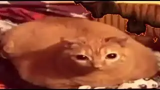 Gwa Gwa edit