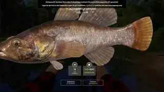 [Russian Fishing 4] Einsteiger Guide #001: Tutorial [RF4]