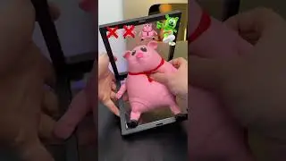 Wll I find th real gumm bear? 🤔
