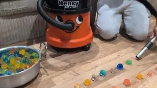 HUNGRY HENRY XL PLUS hoovers up GIANT ORBEEZ! Popping wet ASMR hovering sounds WITH HETTY AND JAMES
