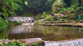 Gentle Forest Stream & Birds Chirping - Pleasant Nature Sounds, White Noise ASMR