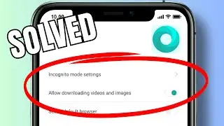 How to allow video and image downloads on Mint Browser