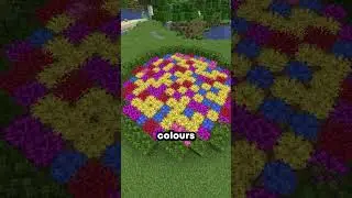 Coral VS Flowers in Minecraft! #minecraft #gaming #shorts #youtubeshorts #viralvideo #foryou #fyp