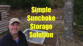 How I Store My Sunchokes