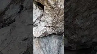 Ancient Cave Art in Colombia   #archaeology #lostcivilizations #lostworlds #colombia #adventure