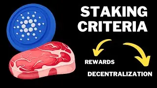 Where to STAKE your CARDANO ADA? Rewards vs Decentralization