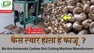 Automatic Cashew Nut Cutting Machine Manufacturer And Suppliers | Kaju Cutting Machine | RAMI Brand