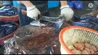 FISH TRADERS: With god skill, Clears fish as fast as lightning