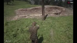 I descoverd more about the cobweb theory in rdr2 #reddeadredempion#cobweb#theories 