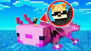 SOPRAVVIVO 24 ORE SU UN AXOLOTL GIGANTE SU MINECRAFT!