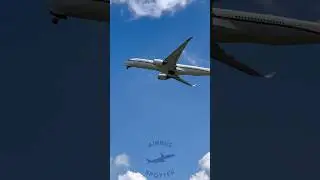 The german VIP Airbus A350 rotates with POWER!👌 | SPECIAL POST FOR 1000 SUBS 🙏