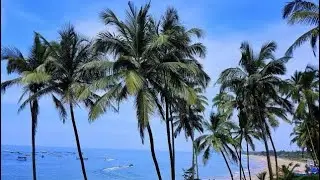 GOA BEACH SAFE SHOP TEAM