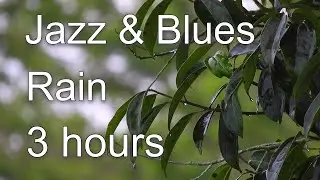 Relaxing Jazz & Blues with Rain sounds for sleep and meditation
