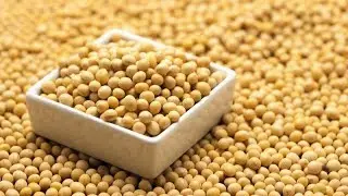 Why does China import so many soybeans?