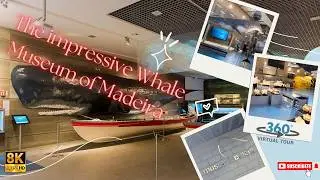 This is how they hunted whales in Portugal&rdquo; The impressive Whale Museum of Madeira in 360&ordm; 8k