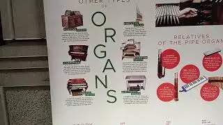 Facts About The Pipe Organ & History | Types Of Pipe Organ Explained