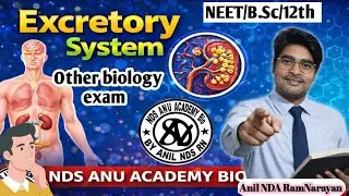 Excretory System Complete Lecture  Kidney Nephron, Urine Formation | NEET & Boards  NDS Anu Academy 