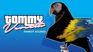 Tommy Vercetti Parrot Sounds PVKII Workshop [ Pirates, Vikings & Knights II ]