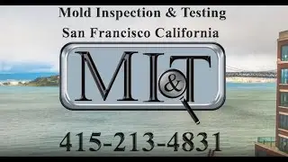 Mold Inspection & Testing San Francisco