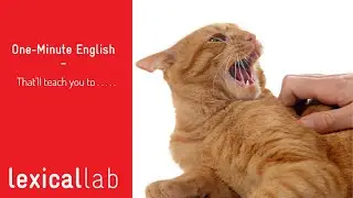 ONE-MINUTE ENGLISH: That'll teach you to . . . . LEARN WITH LEXICAL LAB