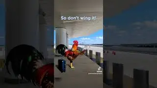 Don't Wing It!