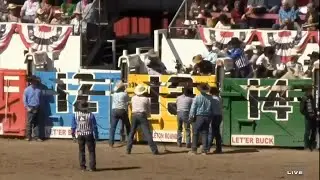 Sankey Rodeo & Phenom Genetics' Toy Soldier